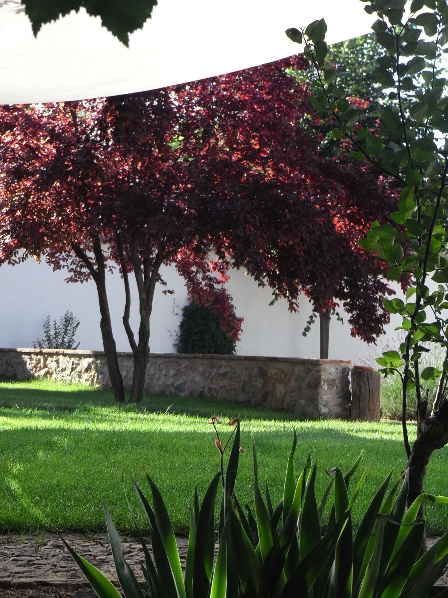 Casa Rural La Alameda マドリデホス エクステリア 写真