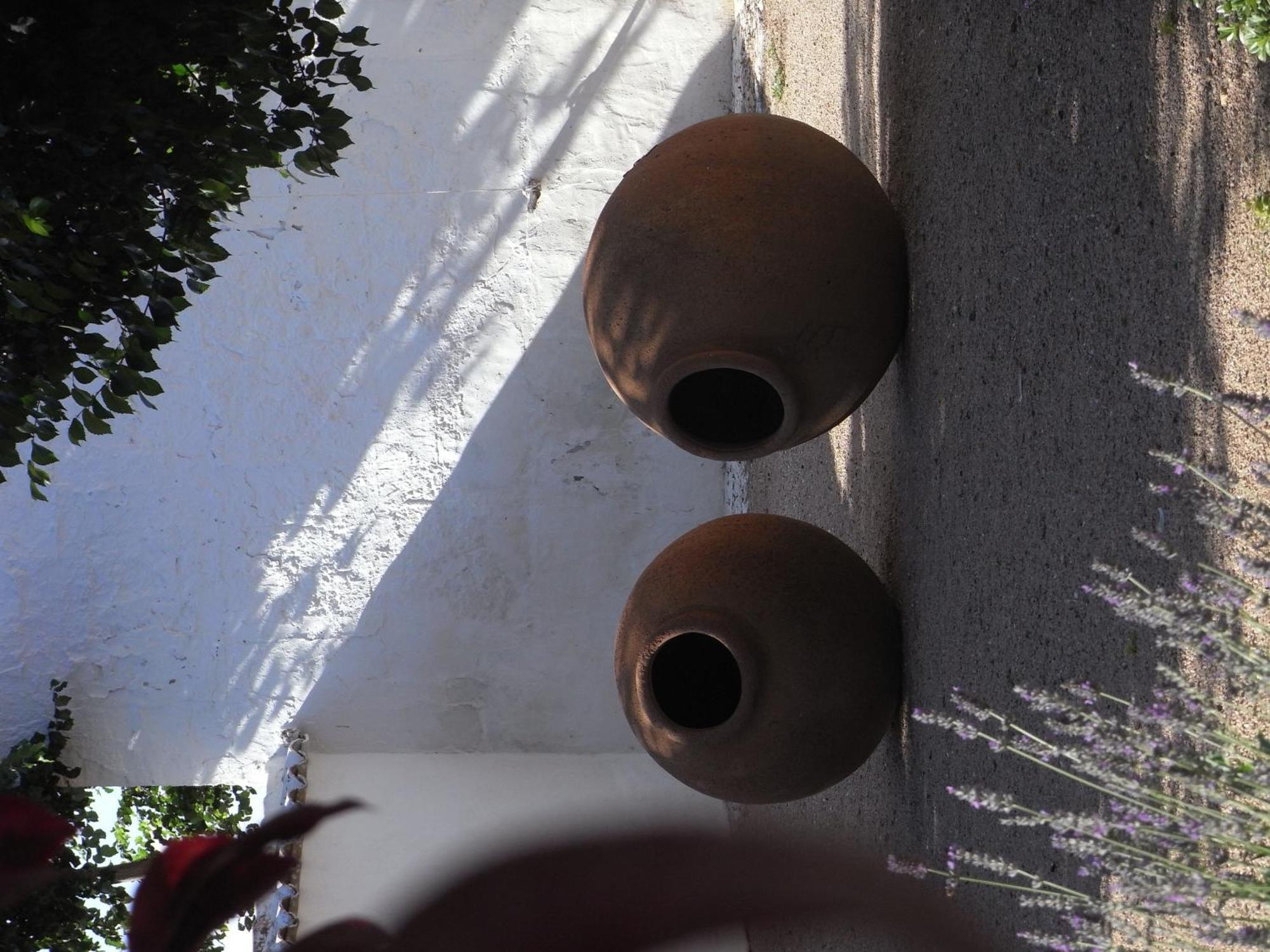 Casa Rural La Alameda マドリデホス エクステリア 写真