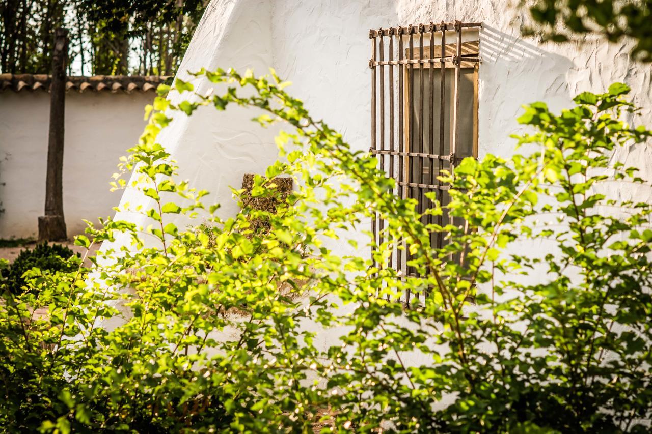 Casa Rural La Alameda マドリデホス エクステリア 写真